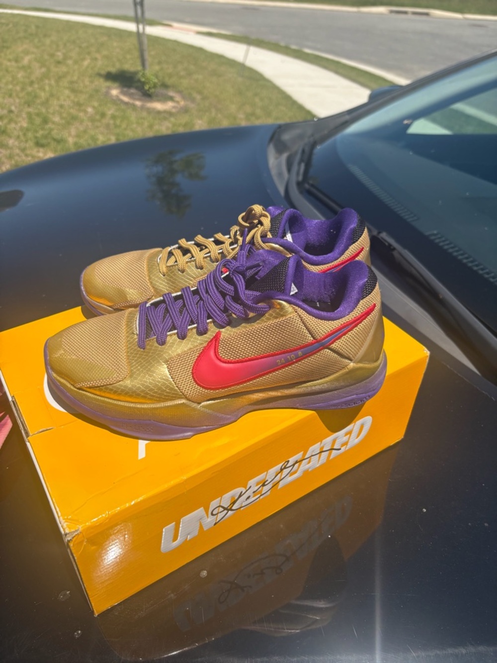Undefeated Kobe 5